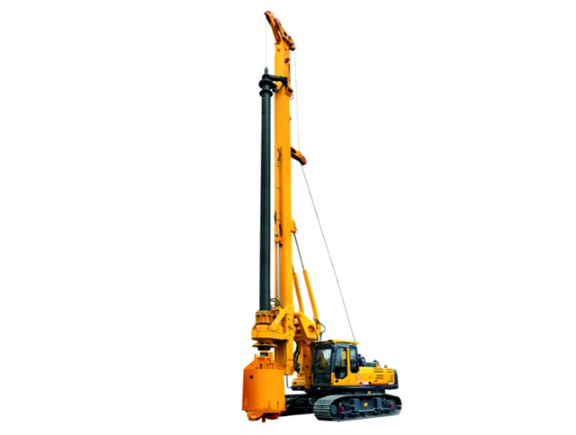 Rotary drilling rig